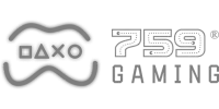 Payaro logo